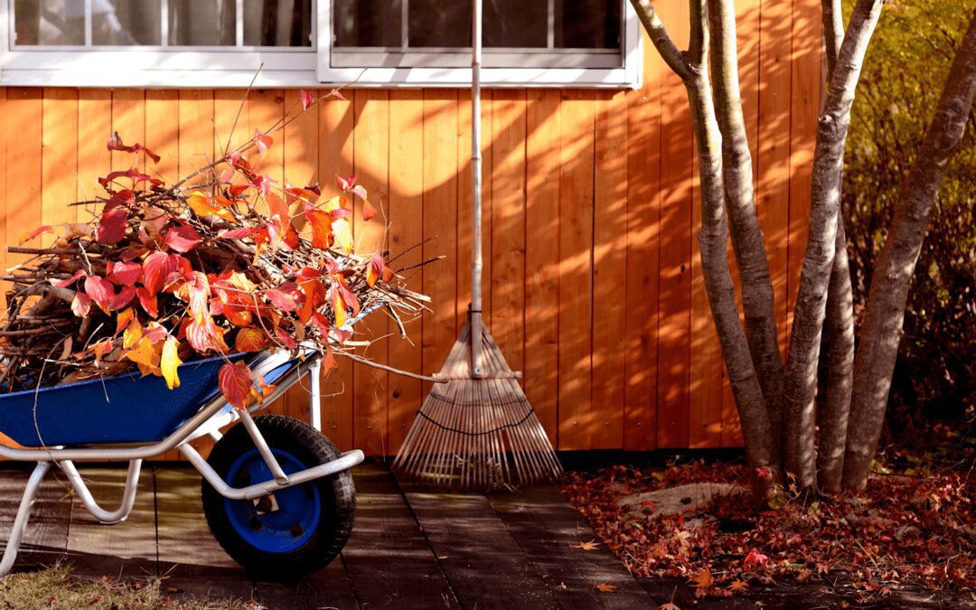 Must-Dos of Fall Yard Cleanup