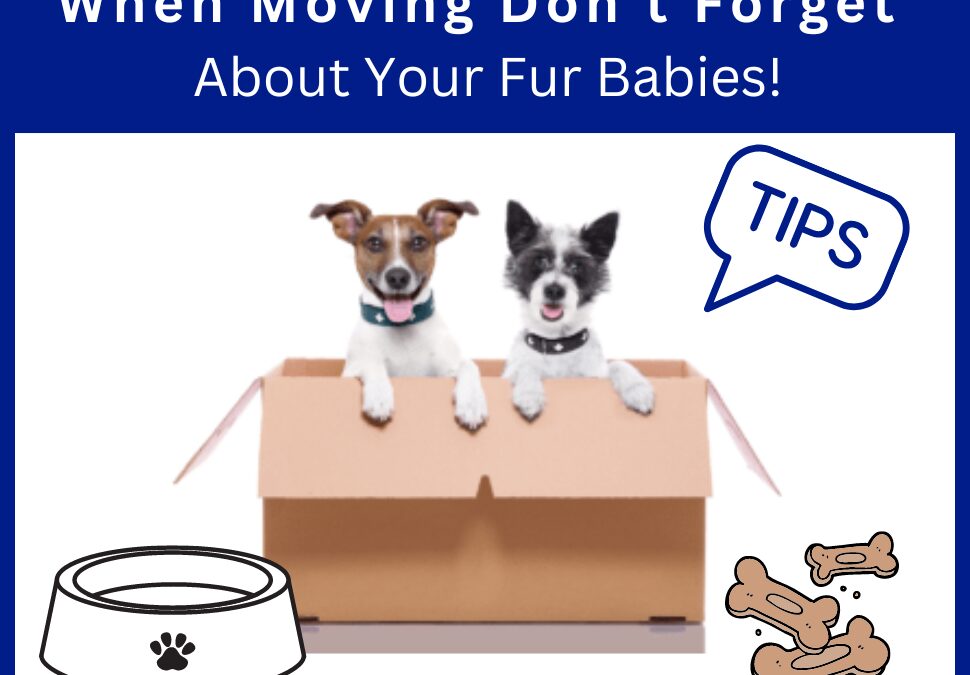 Tips When Moving With Pets